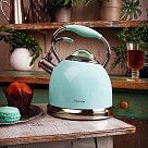 Чайник для кипячения воды FELICITY 2,6 л  (нерж. сталь)