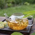 Чайник заварочный 600мл со стальным фильтром (стекло)