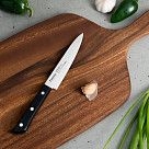 Набор ножей MATSUMOTO 3 пр. (нерж. сталь)